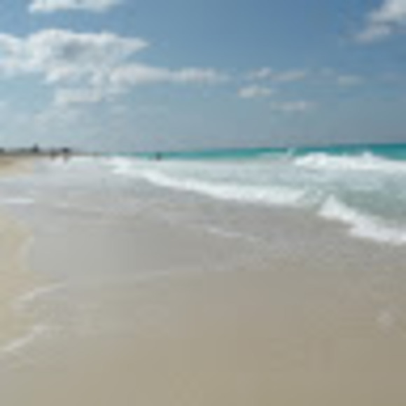 Meet your Posher, Abbey - Picture 1 of 1